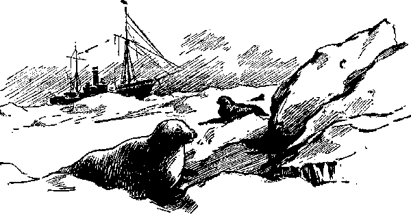 «ЛАХТАК» - laht2000_.png