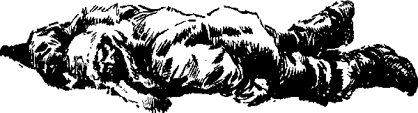 «ЛАХТАК» - laht2131_.png