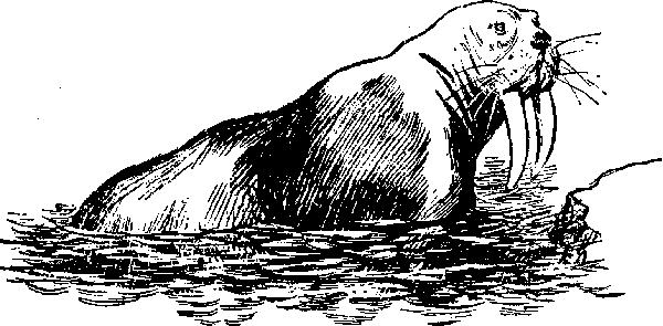 «ЛАХТАК» - laht3071_.png