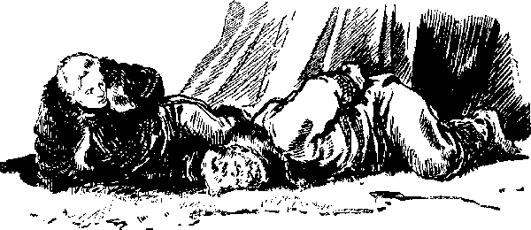 «ЛАХТАК» - laht3150_.png