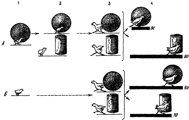 Основы зоопсихологии - i_023.png
