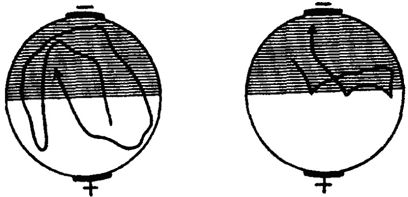 Основы зоопсихологии - i_033.png