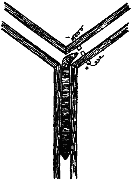 Основы зоопсихологии - i_036.png