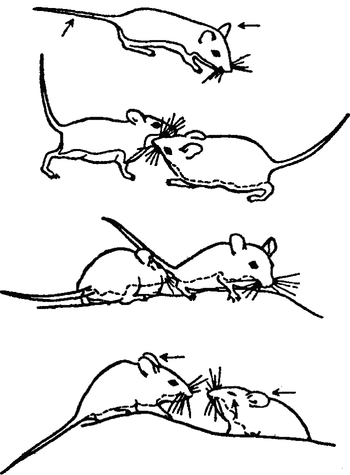 Основы зоопсихологии - i_045.png