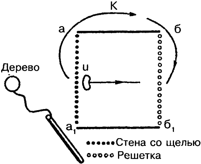 Основы зоопсихологии - i_046.png
