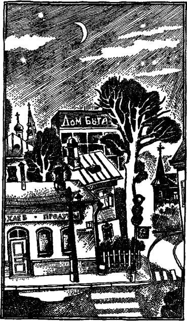 Карусели над городом (С иллюстрациями) - i_002.jpg