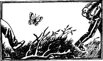 А,Б,В,Г,Д… И другие (С иллюстрациями) - i_004.jpg