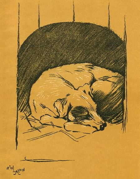 Бобкин день - i_014.jpg
