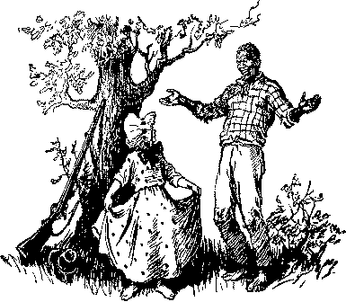 Приключения Тома Сойера. Приключения Гекльберри Финна - doc2fb_image_03000026.png