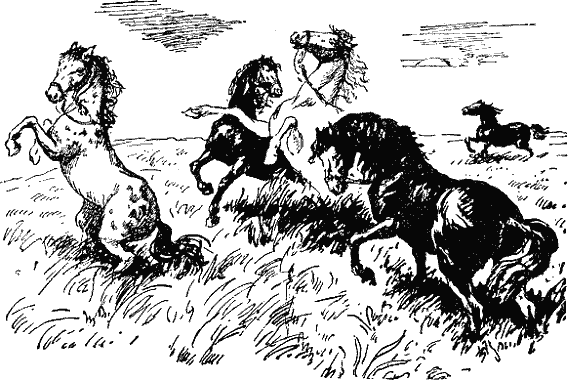 Мир приключений 1956 г.№ 2 - doc2fb_image_03000051.png