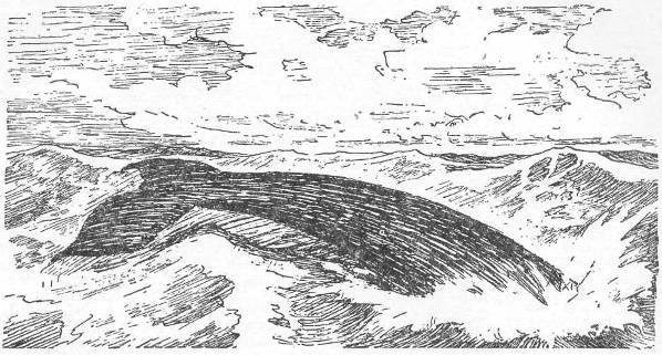 Мир приключений 1956 г.№ 2 - doc2fb_image_02000061.jpg